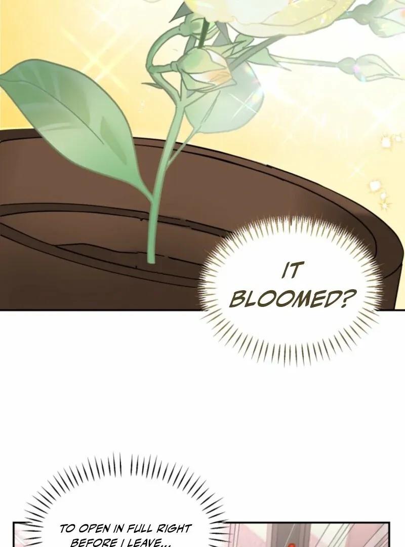 I’d Rather Abandon Than Be Abandoned Chapter 46 page 29 - 