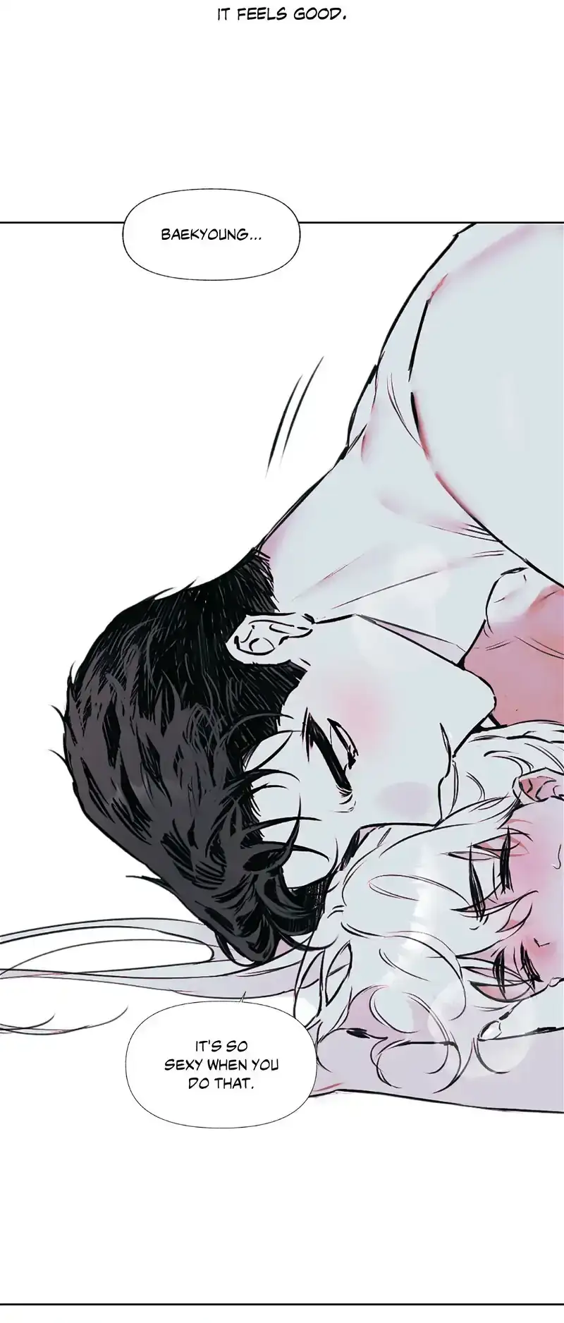 Ideal Recipe Chapter 22.5 page 17 - 