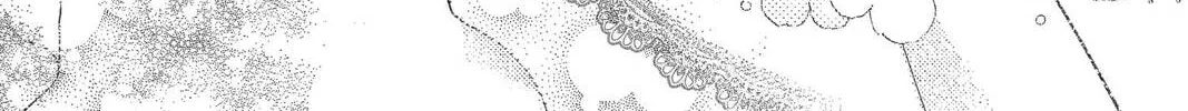 Idol Dreams Chapter 27 page 58 - 