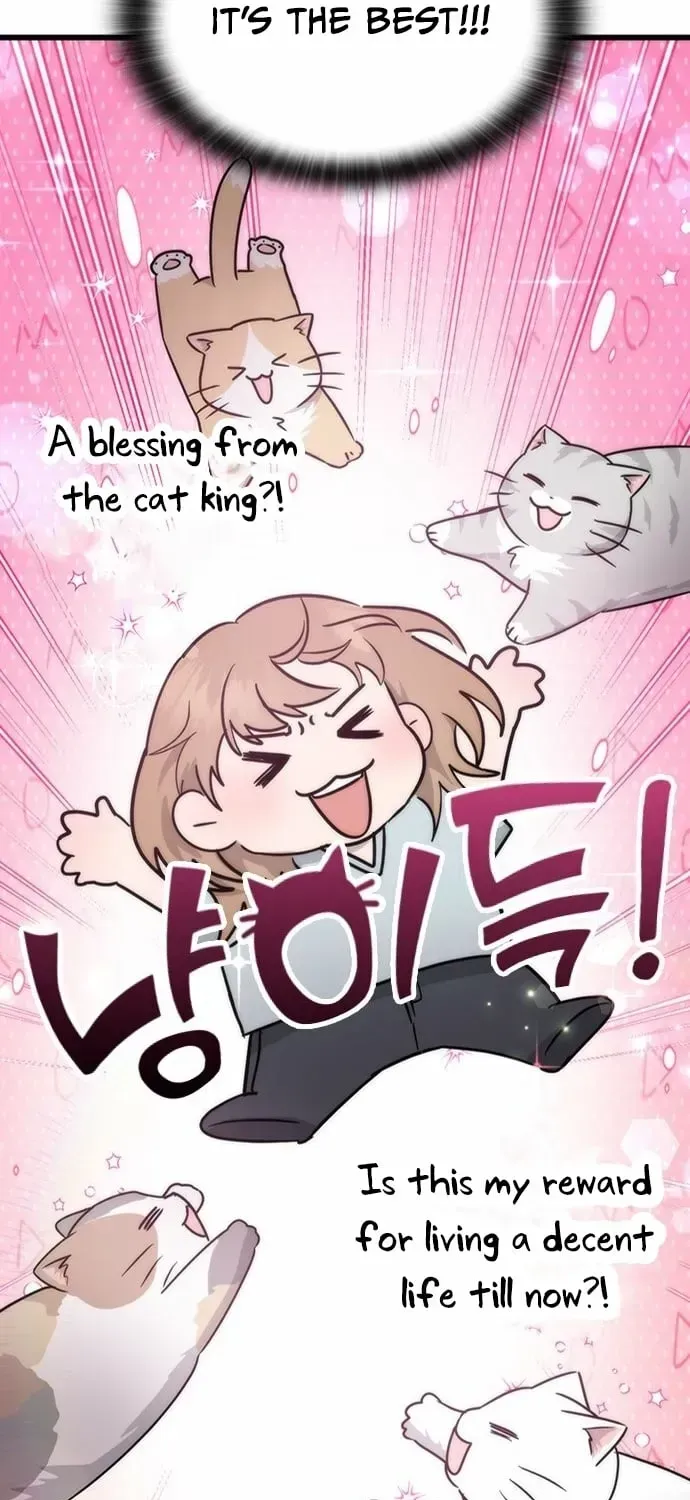 If Everyone in the World Were a Cat Chapter 1.1 page 105 - 