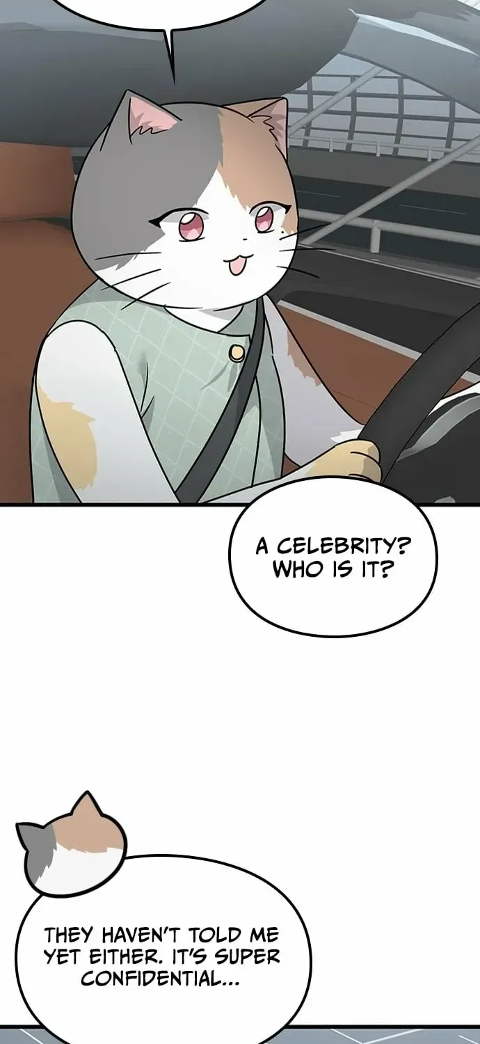 If Everyone in the World Were a Cat Chapter 1.1 page 114 - 
