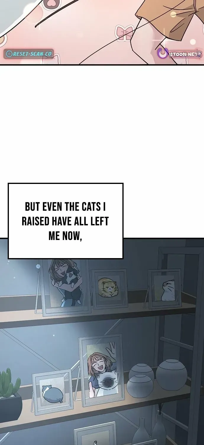 If Everyone in the World Were a Cat Chapter 1.1 page 5 - 