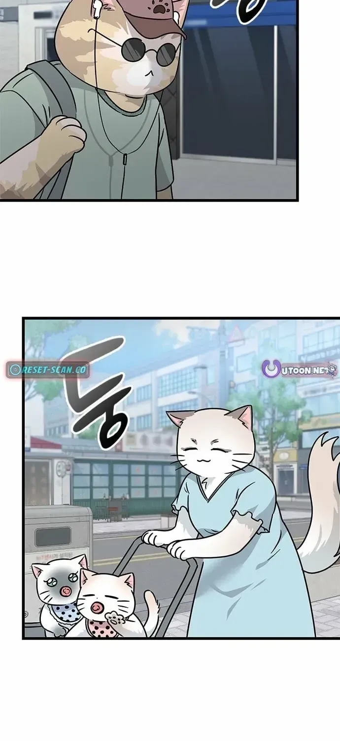 If Everyone in the World Were a Cat Chapter 1.1 page 89 - 