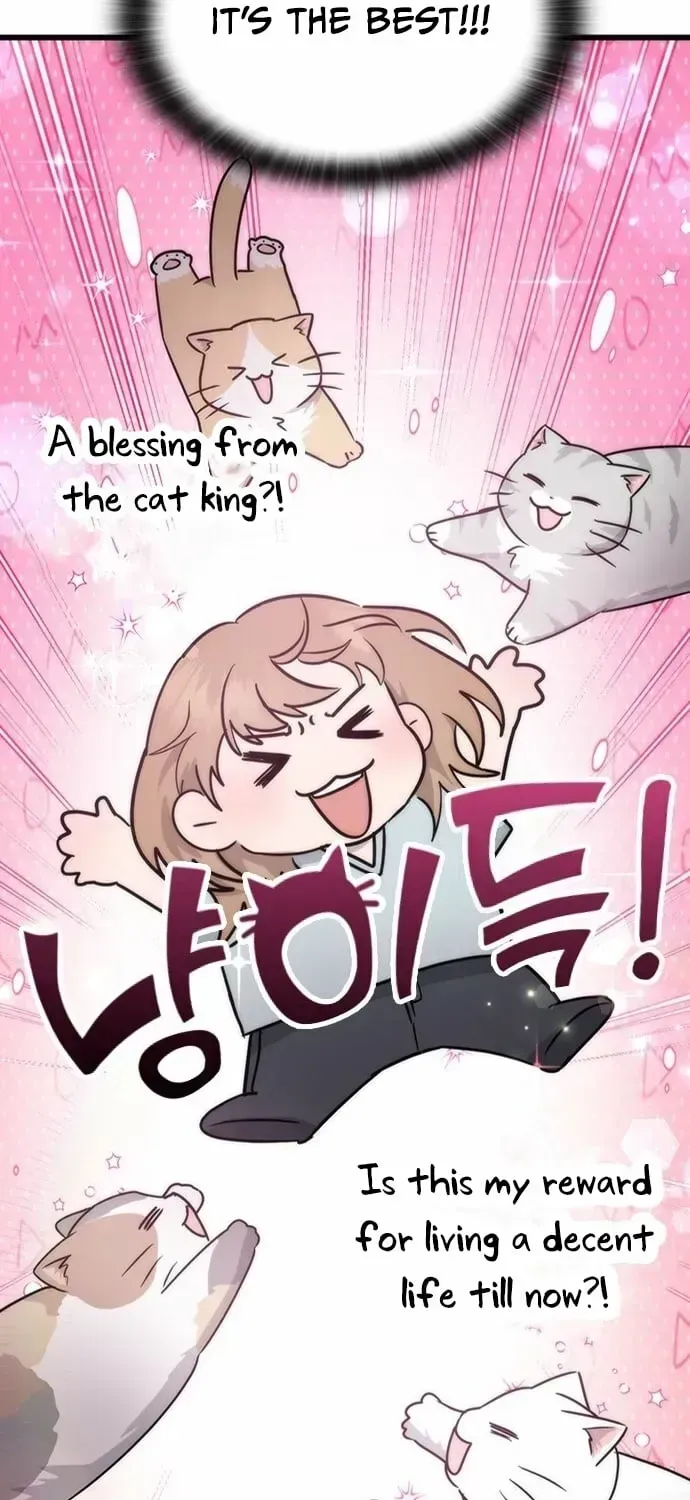 If Everyone in the World Were a Cat Chapter 1.2 page 105 - 
