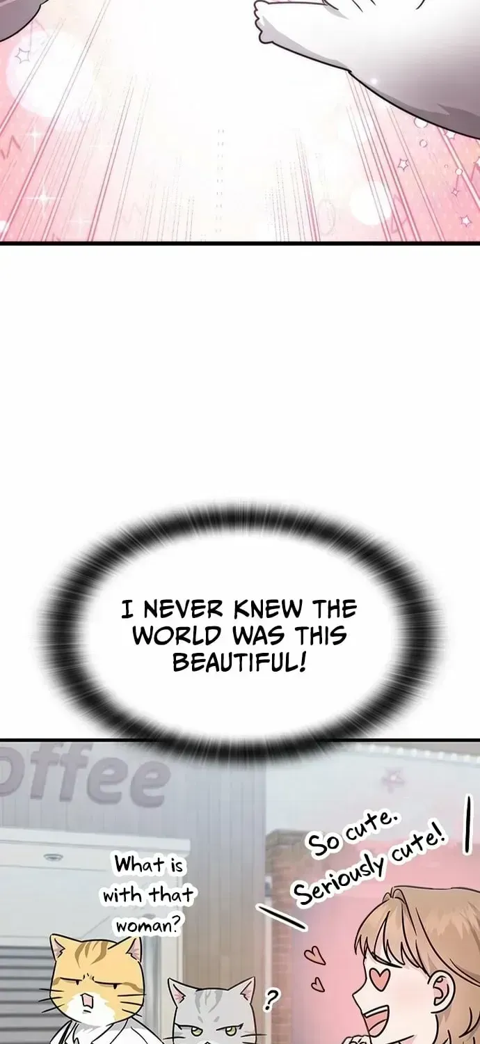 If Everyone in the World Were a Cat Chapter 1.2 page 106 - 
