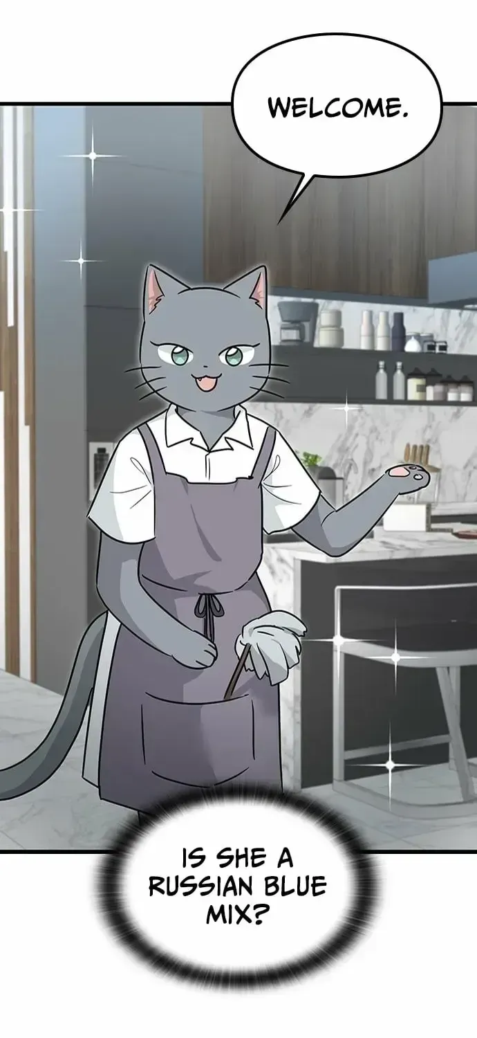 If Everyone in the World Were a Cat Chapter 1.2 page 122 - 
