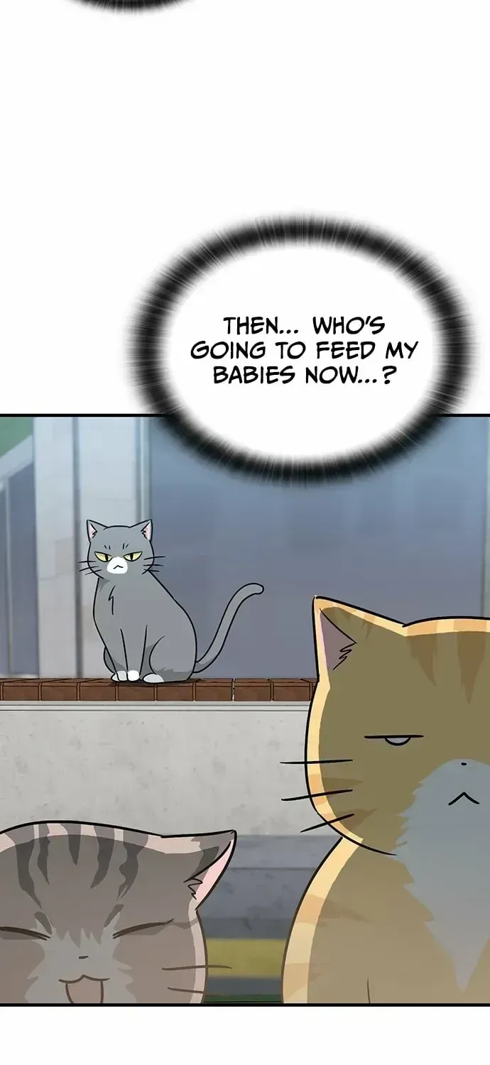 If Everyone in the World Were a Cat Chapter 1.2 page 15 - 