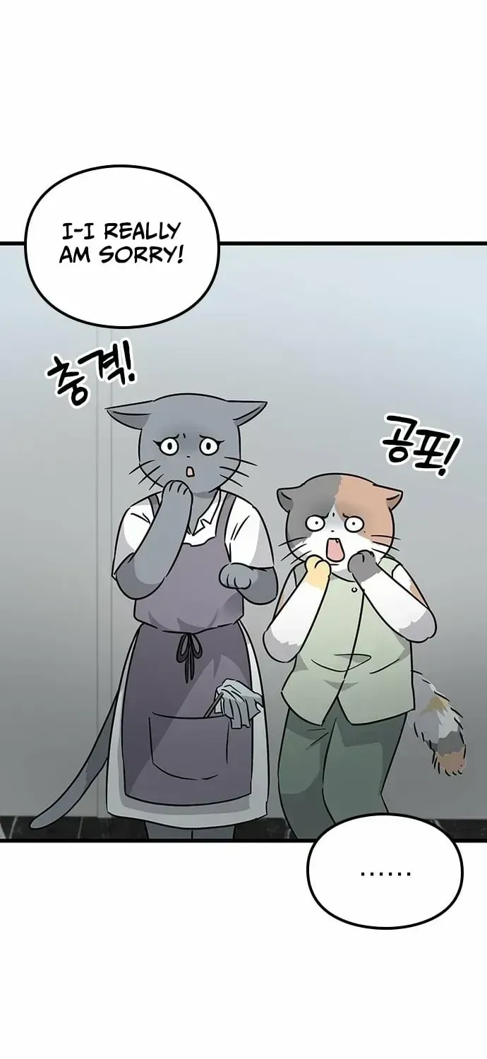 If Everyone in the World Were a Cat Chapter 1.2 page 158 - 
