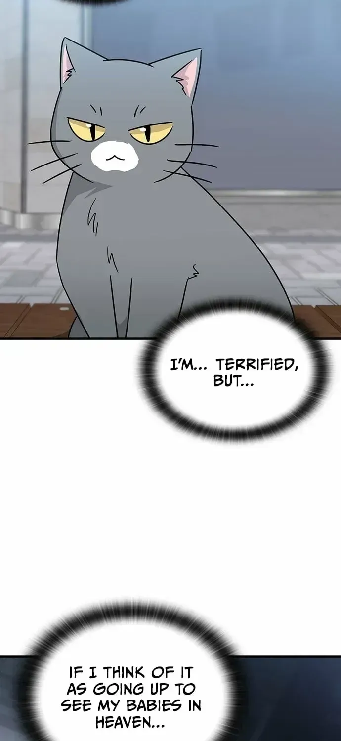 If Everyone in the World Were a Cat Chapter 1.2 page 17 - 