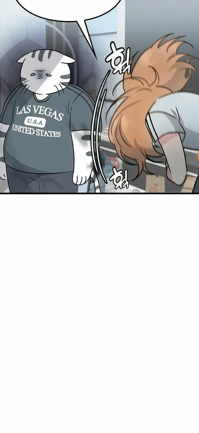 If Everyone in the World Were a Cat Chapter 1.2 page 161 - 