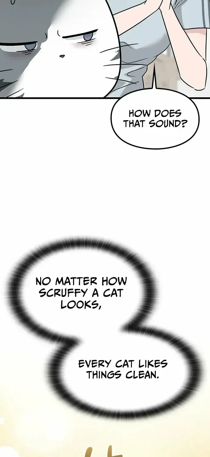 If Everyone in the World Were a Cat Chapter 1.2 page 170 - 