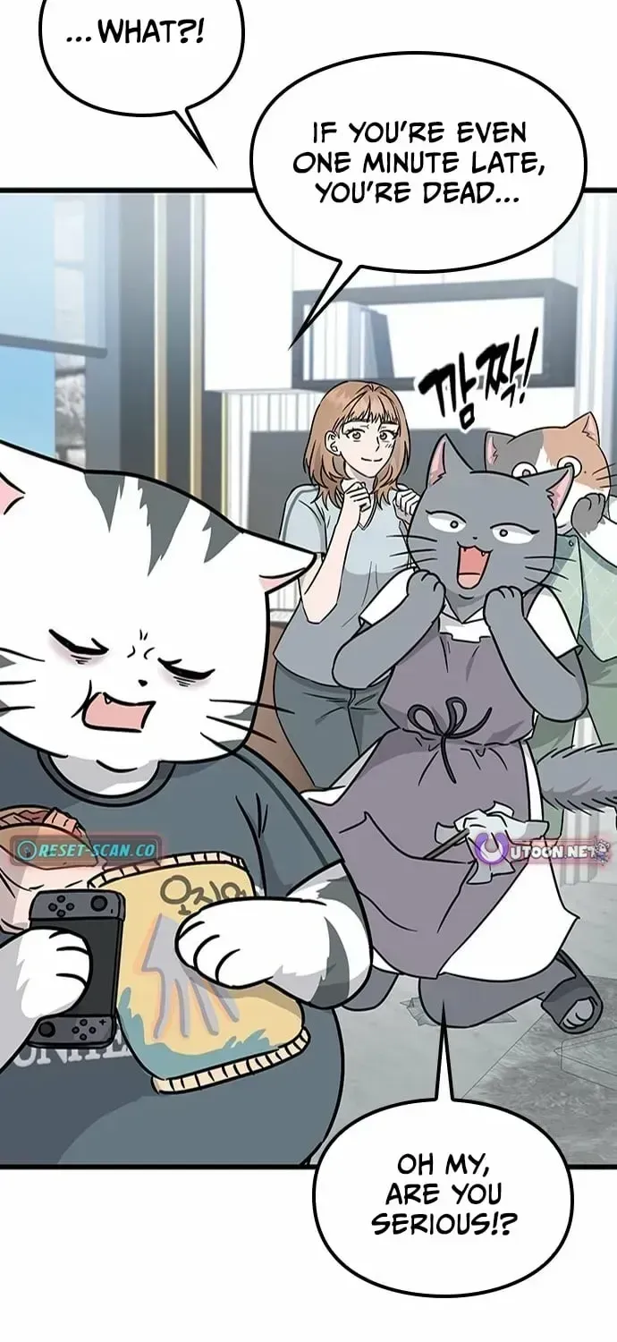 If Everyone in the World Were a Cat Chapter 1.2 page 175 - 