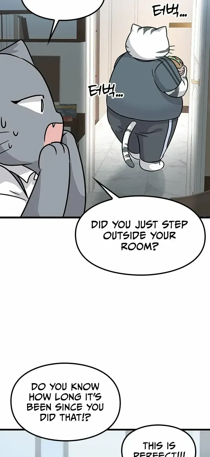 If Everyone in the World Were a Cat Chapter 1.2 page 177 - 