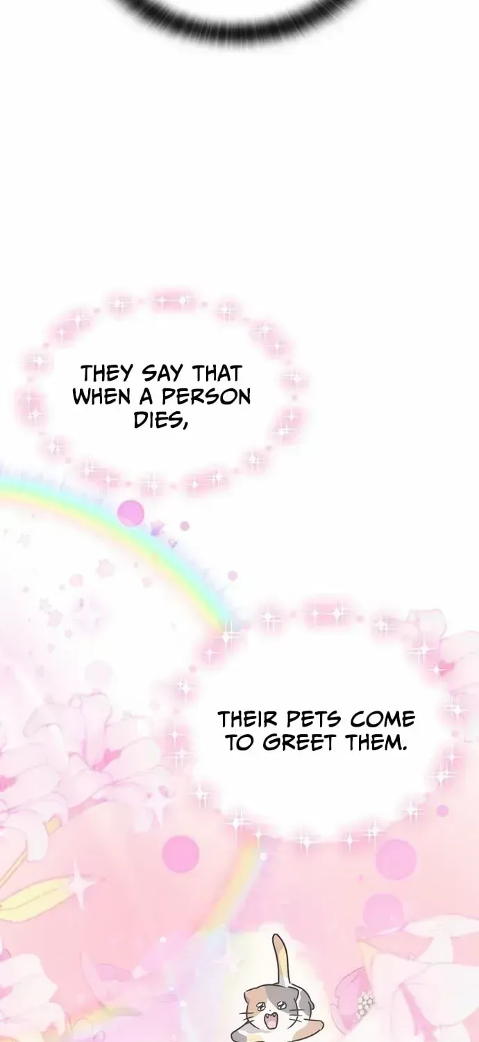 If Everyone in the World Were a Cat Chapter 1.2 page 19 - 