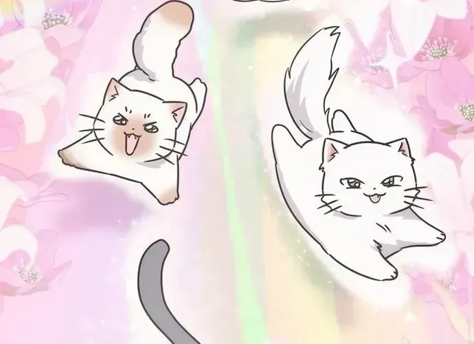 If Everyone in the World Were a Cat Chapter 1.2 page 20 - 