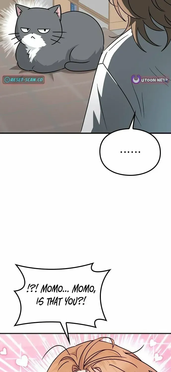 If Everyone in the World Were a Cat Chapter 1.2 page 31 - 