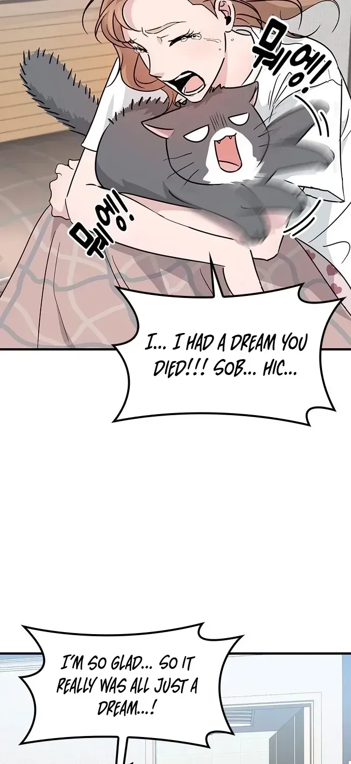 If Everyone in the World Were a Cat Chapter 1.2 page 34 - 