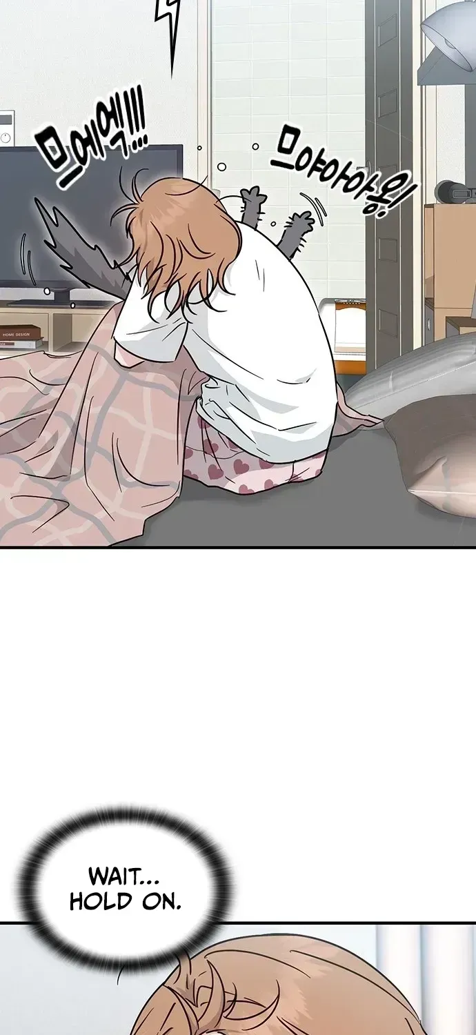 If Everyone in the World Were a Cat Chapter 1.2 page 35 - 