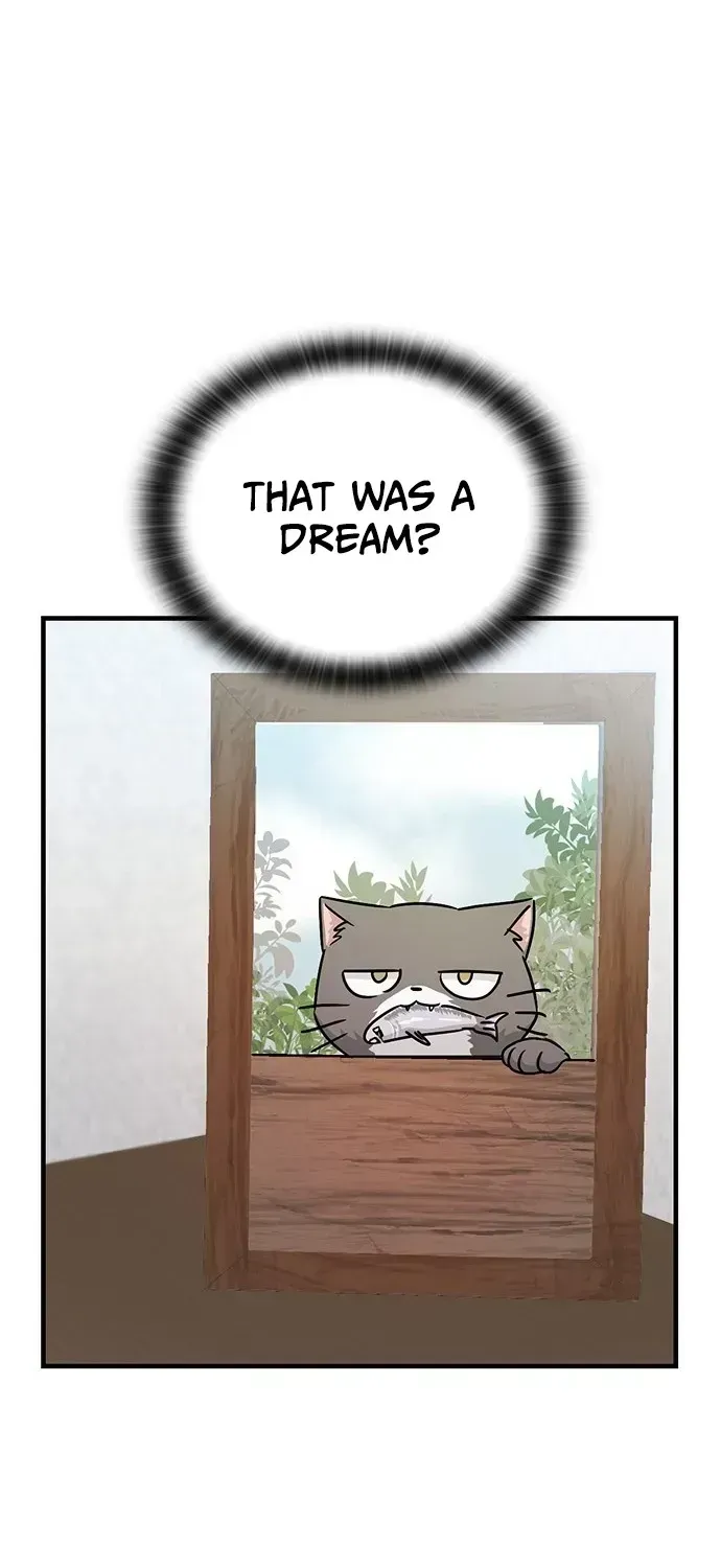 If Everyone in the World Were a Cat Chapter 1.2 page 37 - 