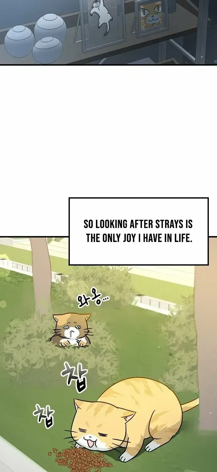 If Everyone in the World Were a Cat Chapter 1.2 page 6 - 