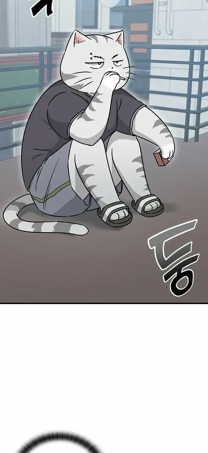 If Everyone in the World Were a Cat Chapter 1.2 page 51 - 