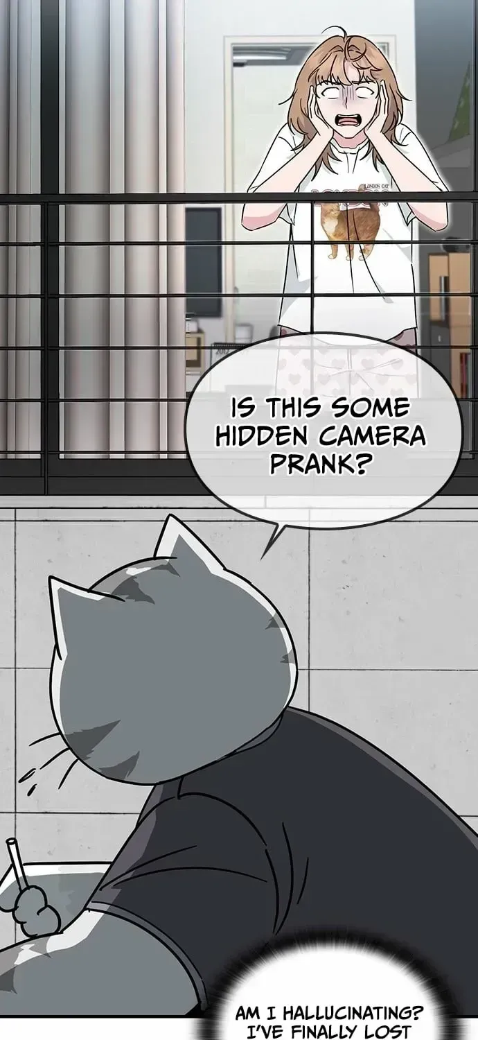 If Everyone in the World Were a Cat Chapter 1.2 page 57 - 