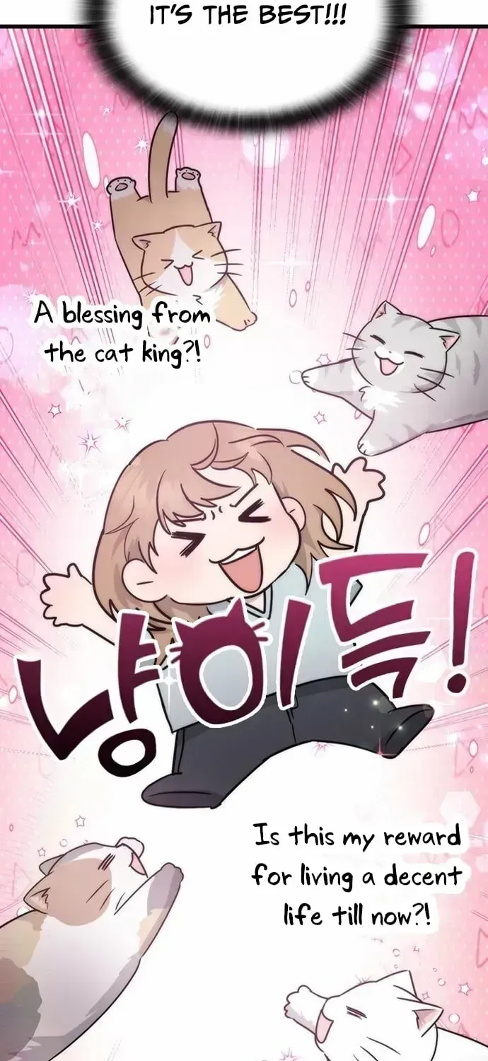If Everyone in the World Were a Cat Chapter 1.3 page 105 - 