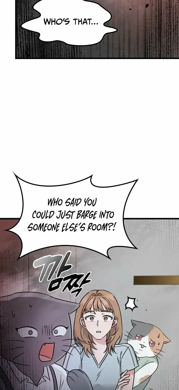 If Everyone in the World Were a Cat Chapter 1.3 page 135 - 