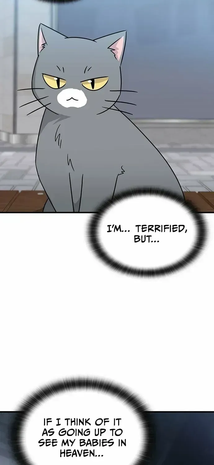 If Everyone in the World Were a Cat Chapter 1.3 page 17 - 