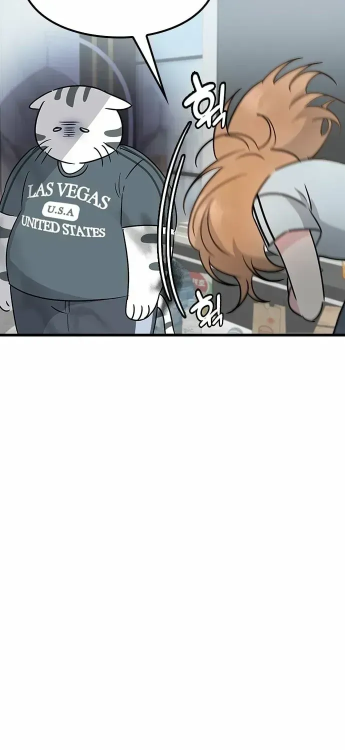 If Everyone in the World Were a Cat Chapter 1.3 page 161 - 