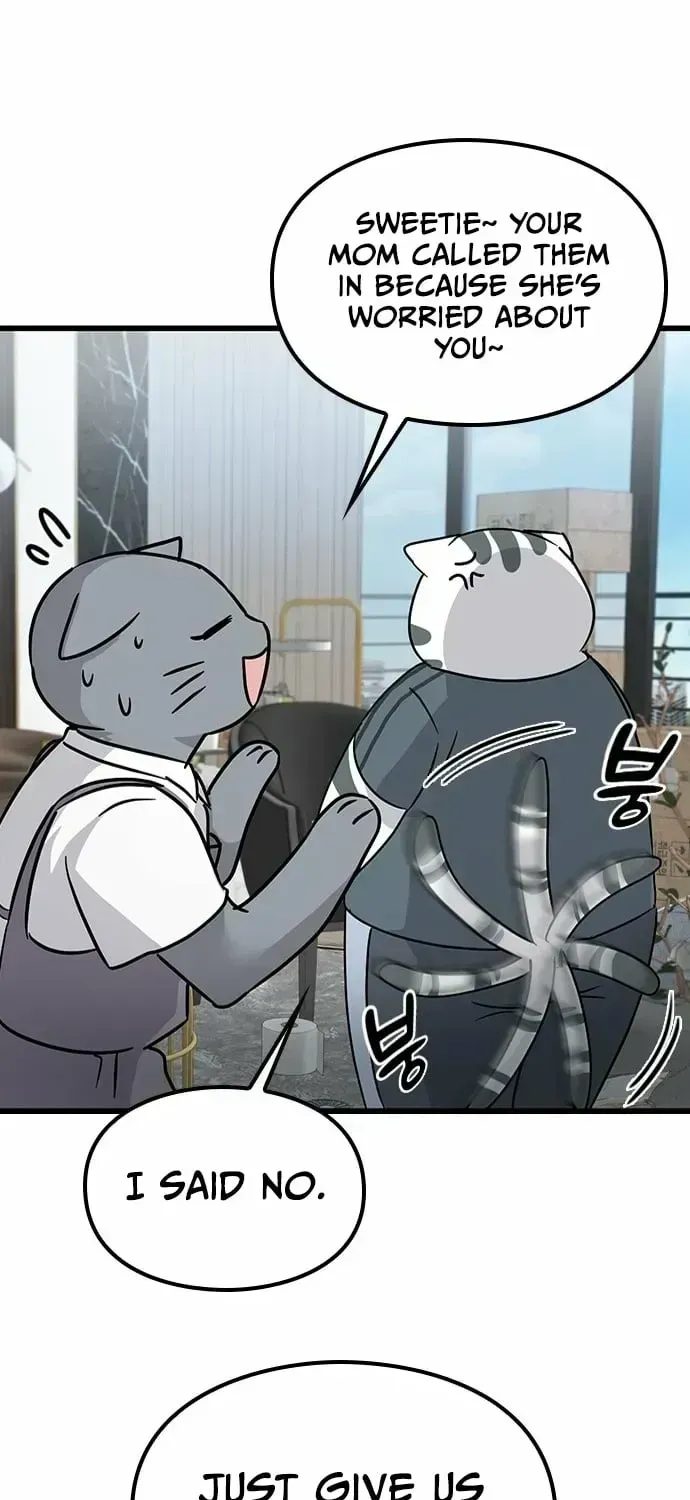 If Everyone in the World Were a Cat Chapter 1.3 page 163 - 