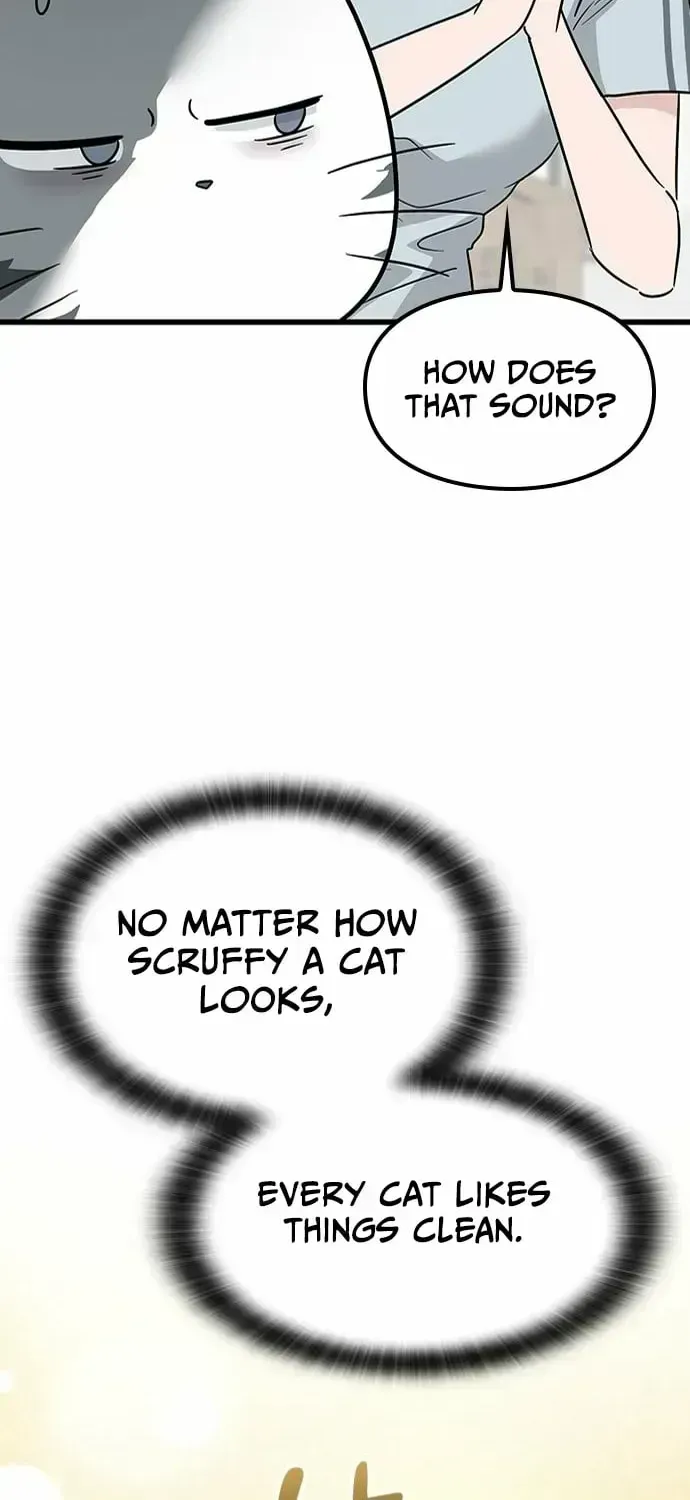 If Everyone in the World Were a Cat Chapter 1.3 page 170 - 