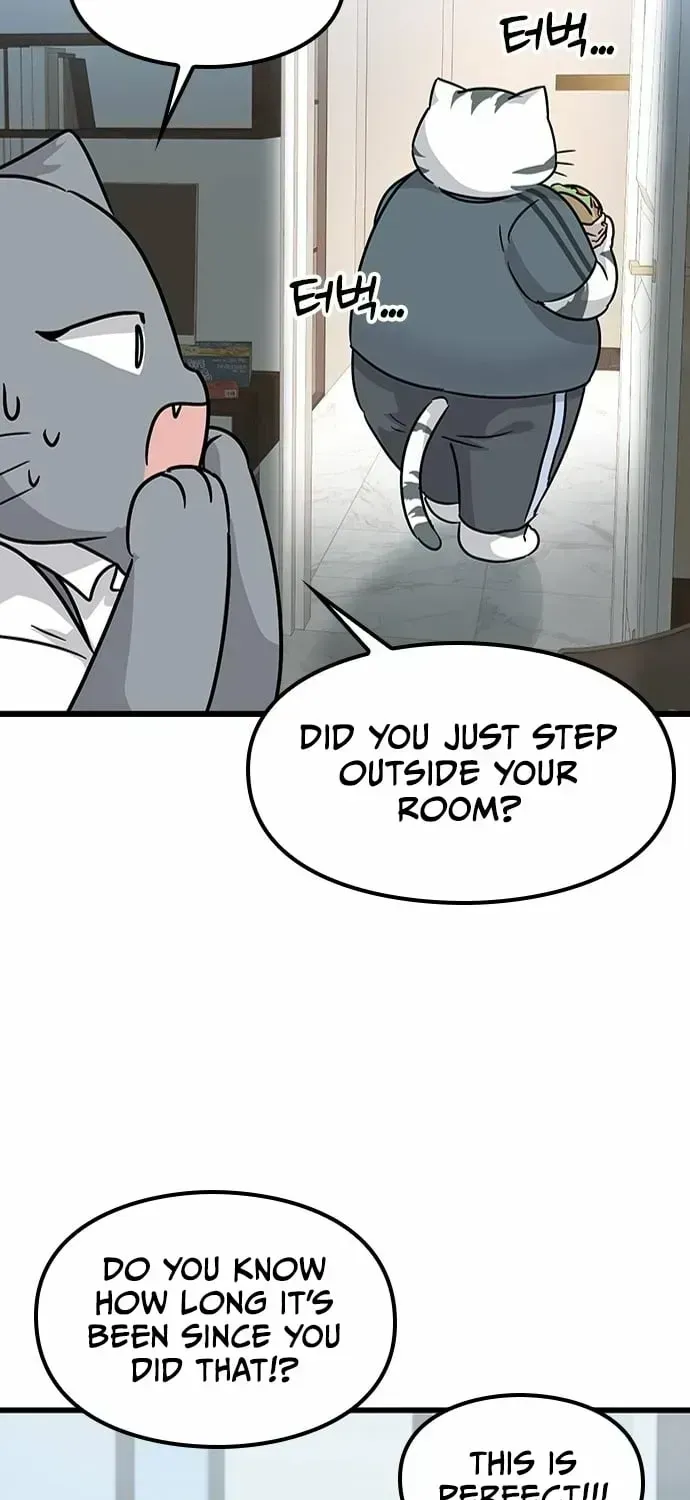 If Everyone in the World Were a Cat Chapter 1.3 page 177 - 