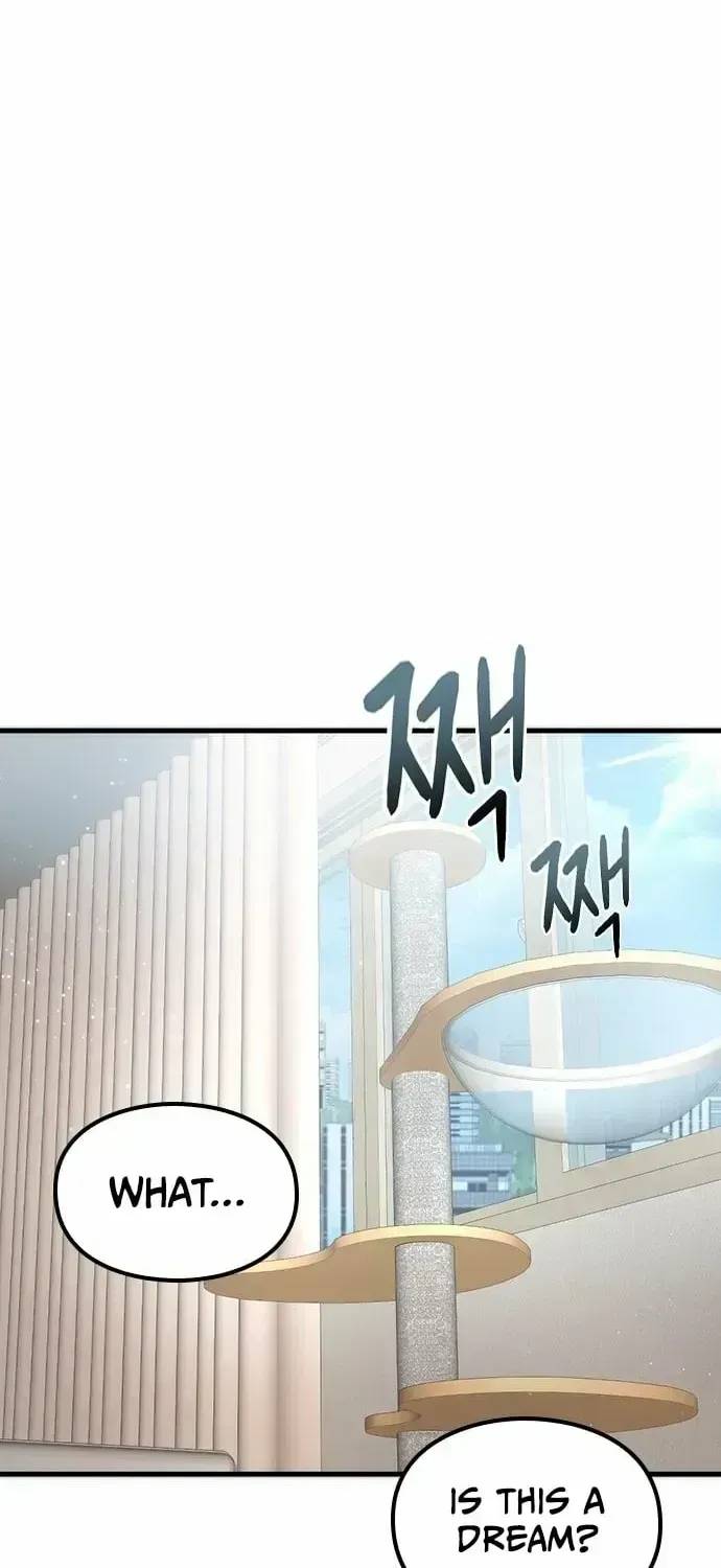 If Everyone in the World Were a Cat Chapter 1.3 page 26 - 