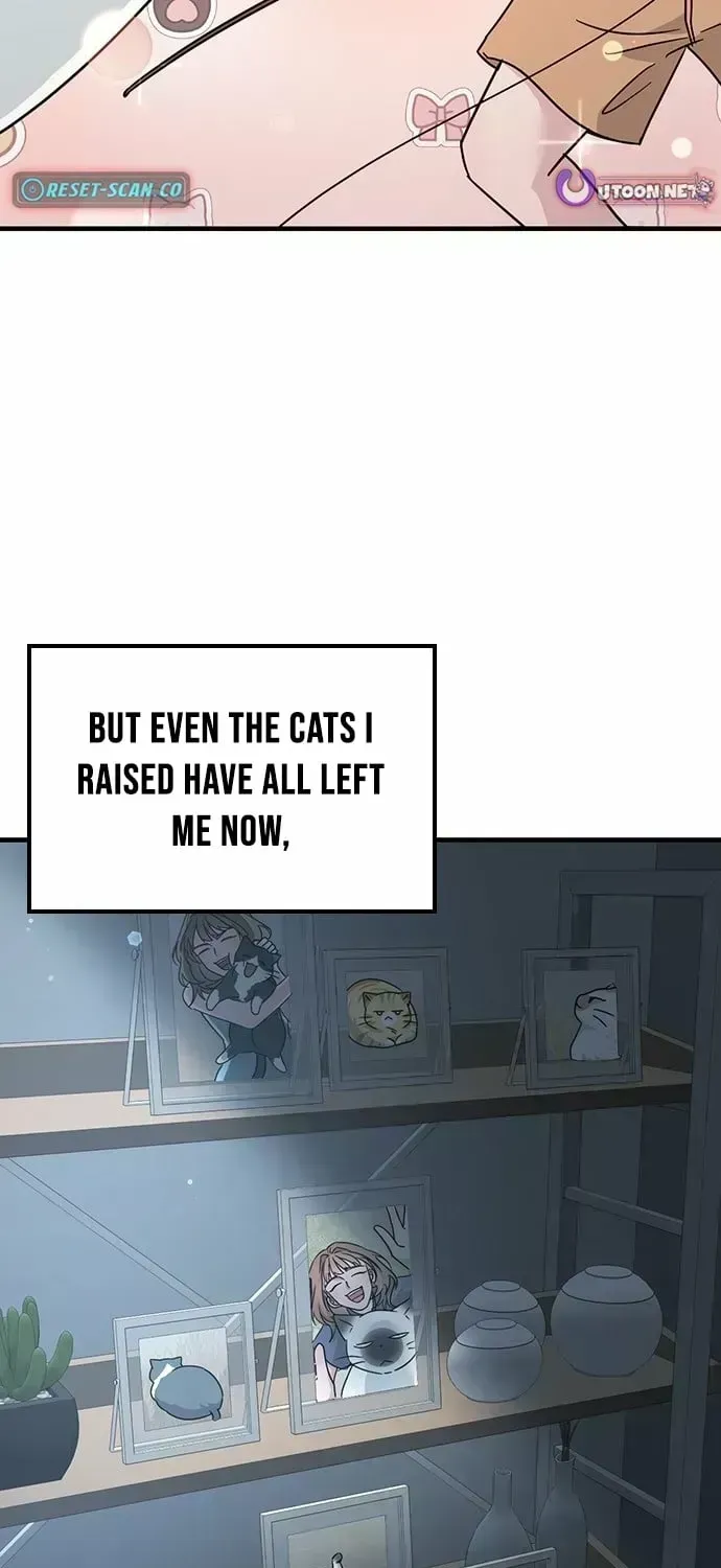 If Everyone in the World Were a Cat Chapter 1.3 page 5 - 