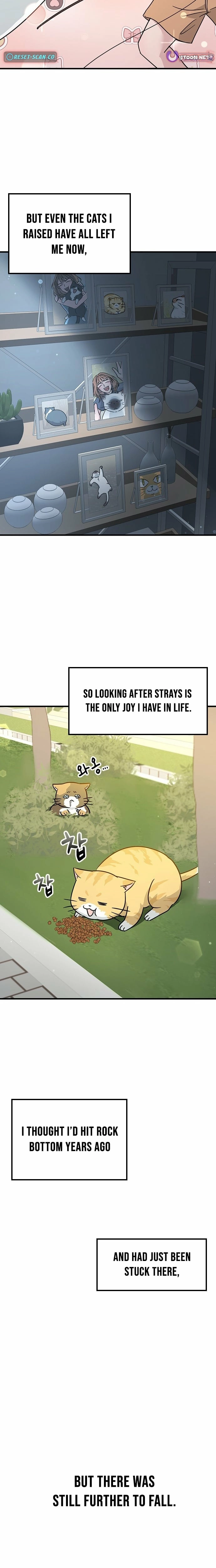 If Everyone in the World Were a Cat Chapter 1 page 2 - 