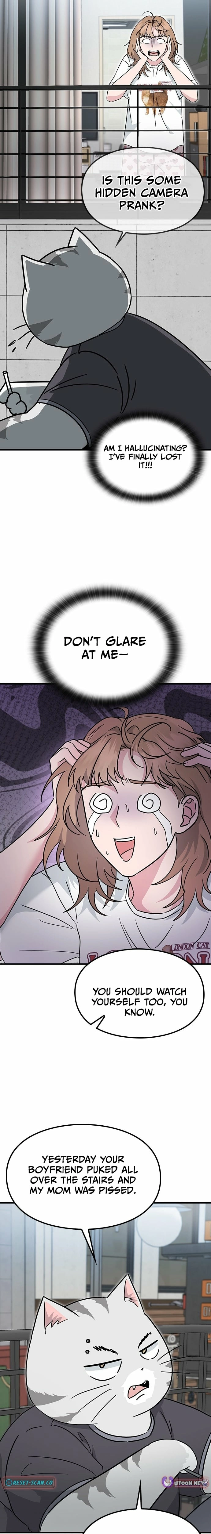 If Everyone in the World Were a Cat Chapter 1 page 15 - 