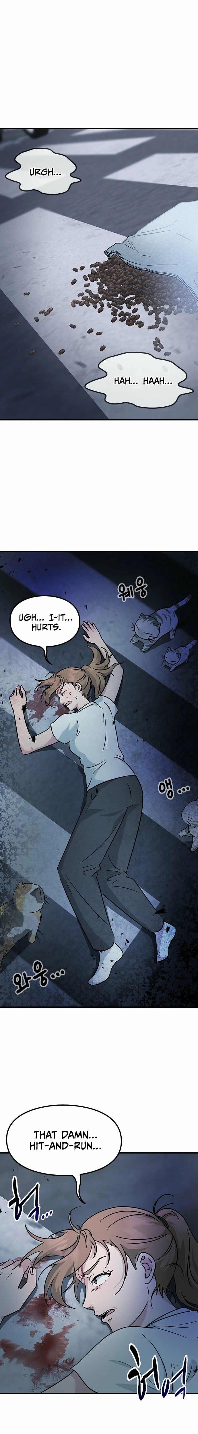 If Everyone in the World Were a Cat Chapter 1 page 3 - 