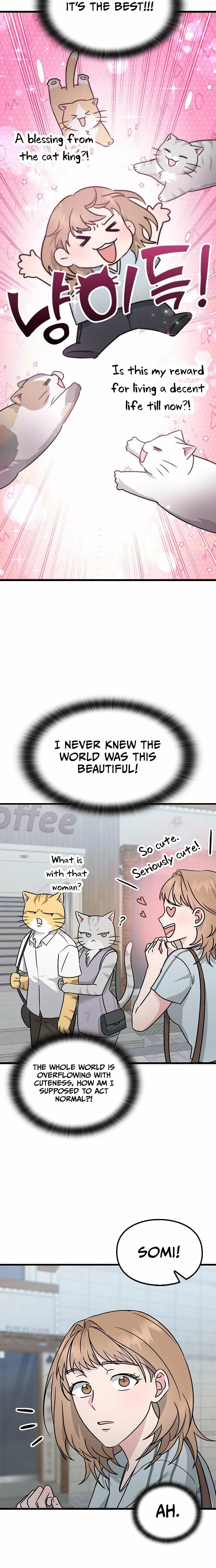 If Everyone in the World Were a Cat Chapter 1 page 27 - 