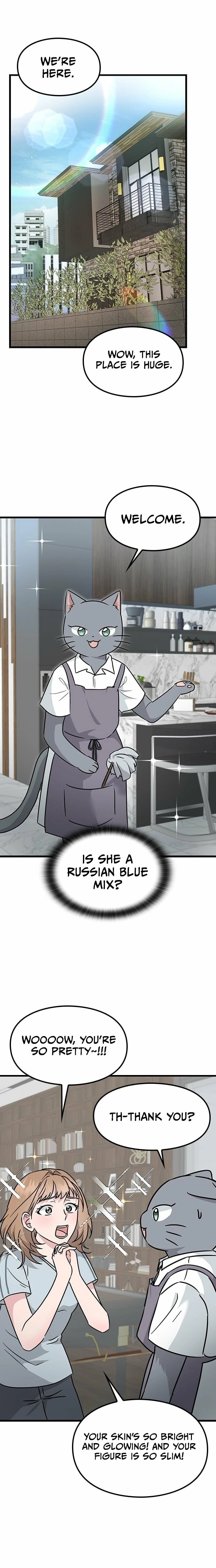 If Everyone in the World Were a Cat Chapter 1 page 31 - 