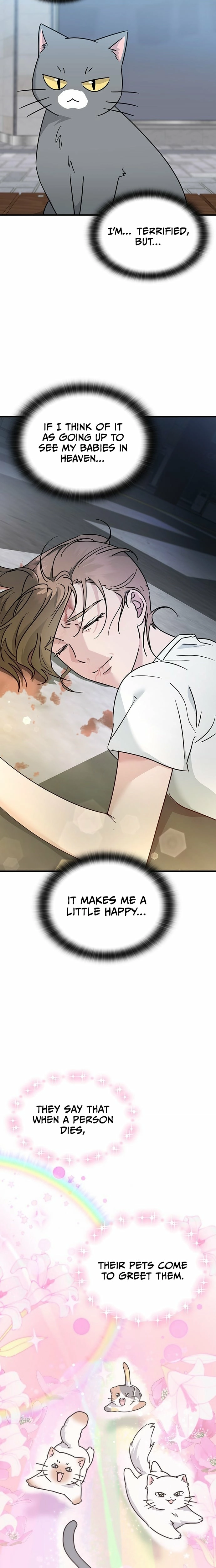 If Everyone in the World Were a Cat Chapter 1 page 5 - 