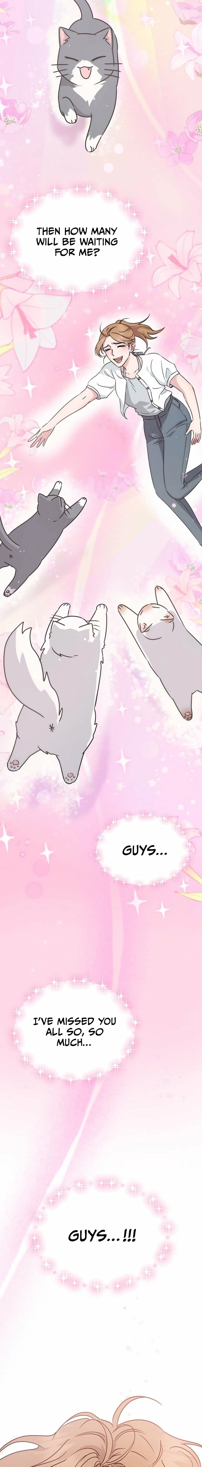 If Everyone in the World Were a Cat Chapter 1 page 6 - 