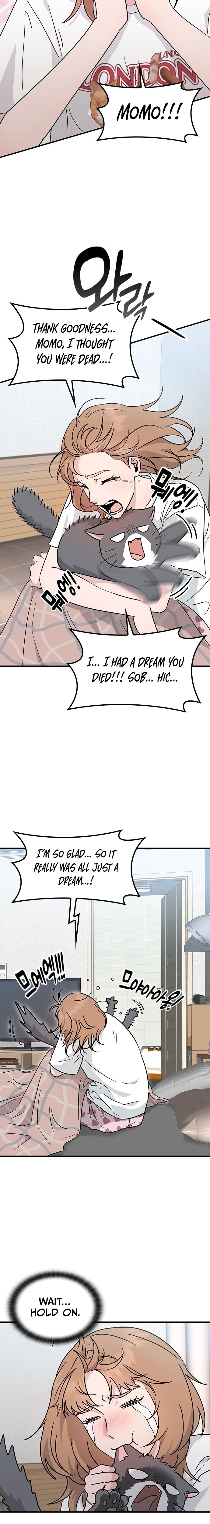 If Everyone in the World Were a Cat Chapter 1 page 9 - 