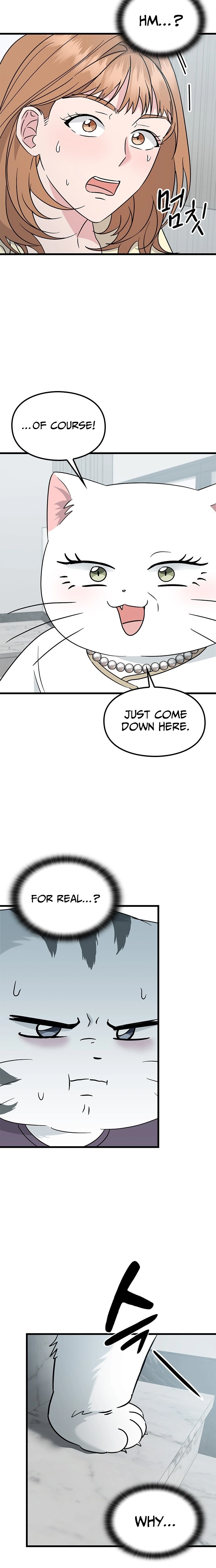 If Everyone in the World Were a Cat Chapter 4 page 5 - 