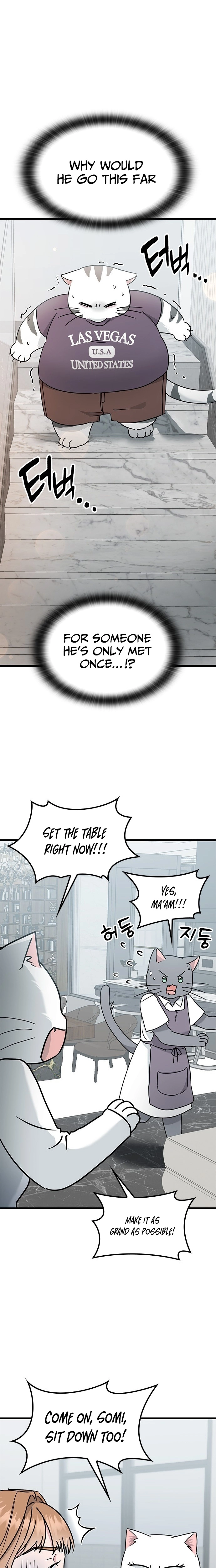 If Everyone in the World Were a Cat Chapter 4 page 6 - 