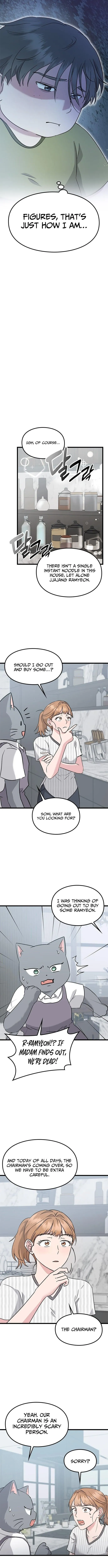 If Everyone in the World Were a Cat Chapter 6 page 11 - 