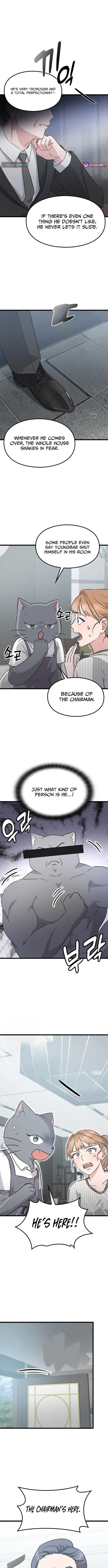 If Everyone in the World Were a Cat Chapter 6 page 12 - 