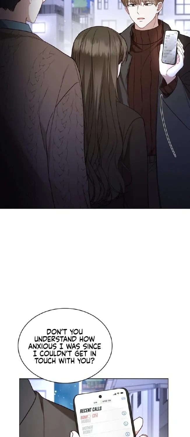 If Spring Comes Chapter 14 page 41 - 