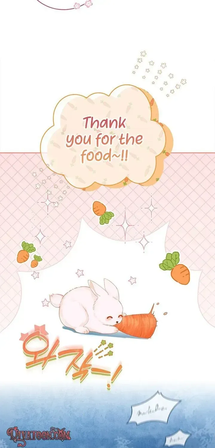 If you are locked up, please wave a carrot. Chapter 1.2 page 12 - 