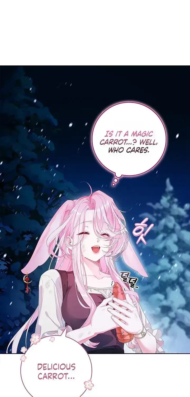If you are locked up, please wave a carrot. Chapter 1.3 page 11 - 